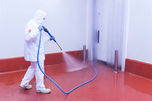 Reliable Menlo Park Terrace, NJ Pressure Washing Services Solutions